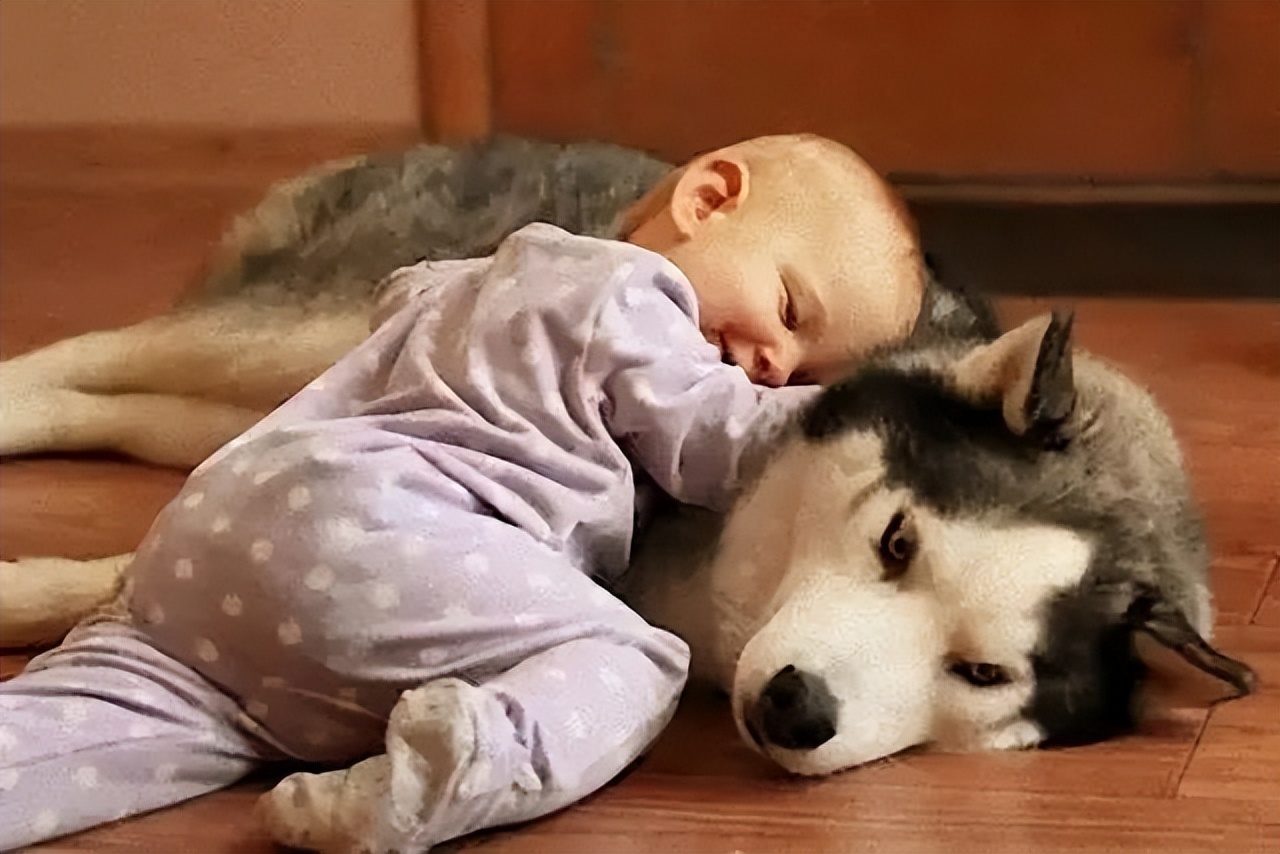 好用的地板清洁剂测评,超好用的一款地板清洁剂