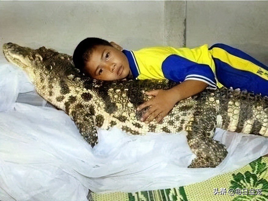 世界十大最奇葩的宠物,世界上最奇异的小宠物