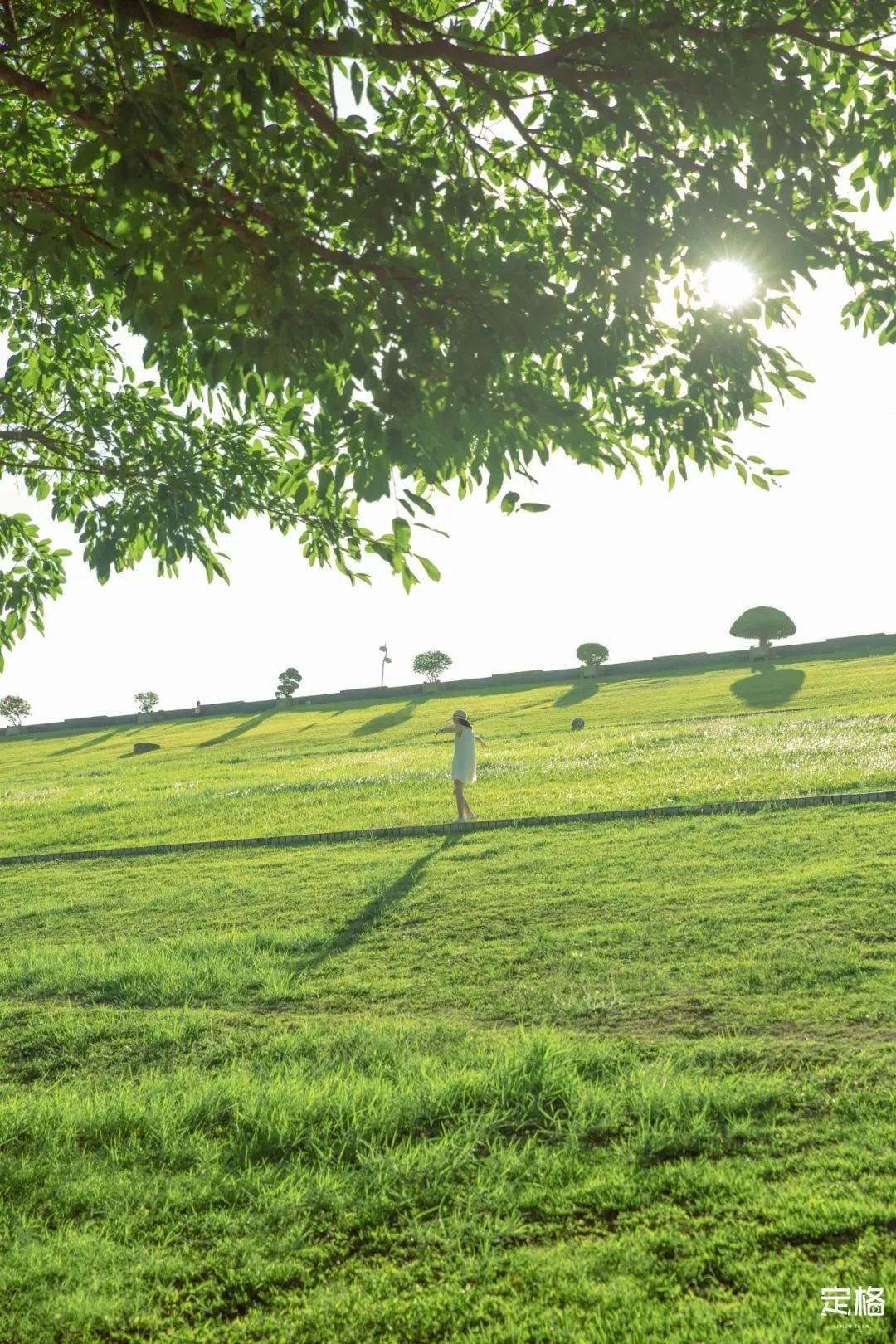 深圳10个小众打卡地,深圳十大免费打卡地