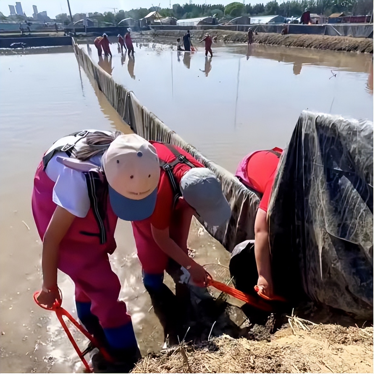 暑期实践日志1500字,暑期夏令营志愿者实践日志