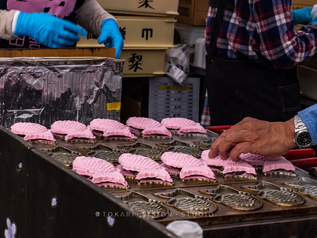 来日本赏河津樱,东京去河津赏樱攻略视频