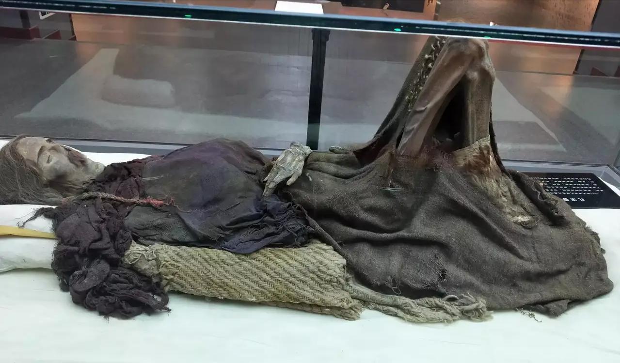 让尸体开口说话查案,让尸体说话纪录片