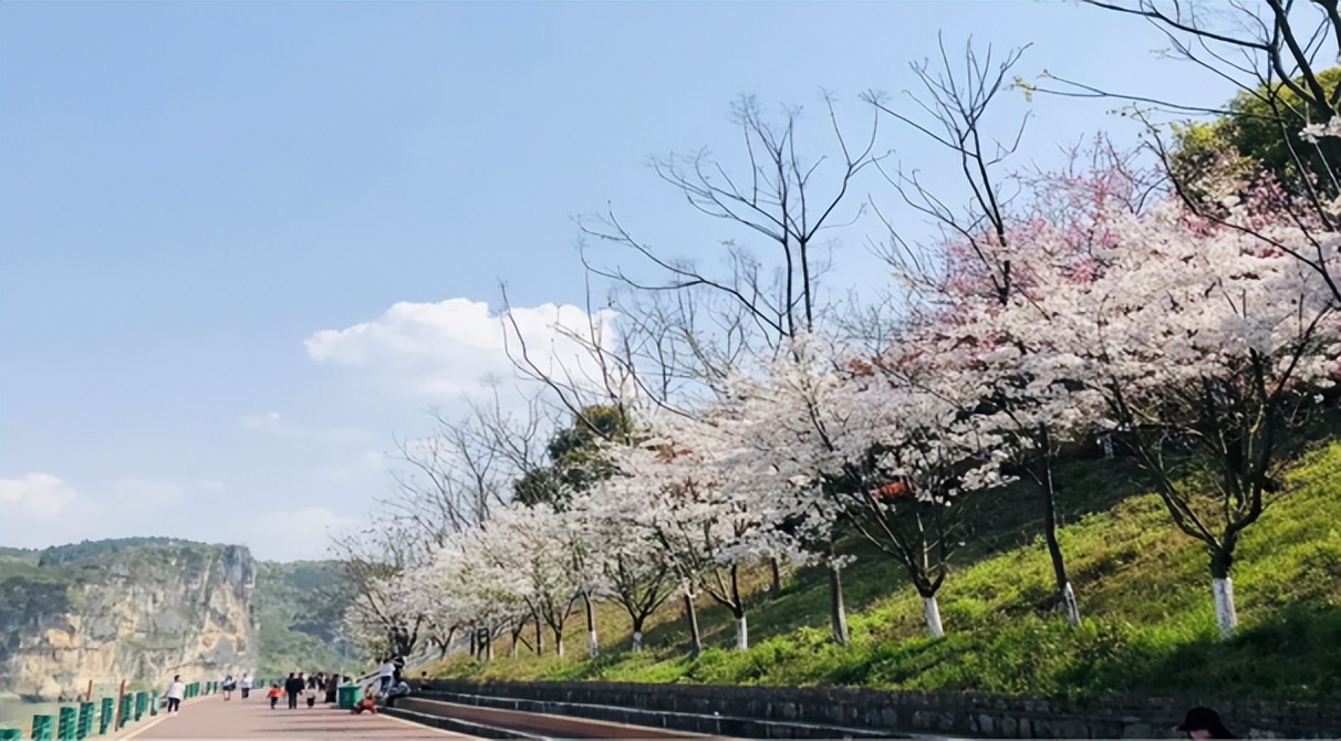 神秘湘西走个春在家吃自助烧烤,神秘湘西走个春