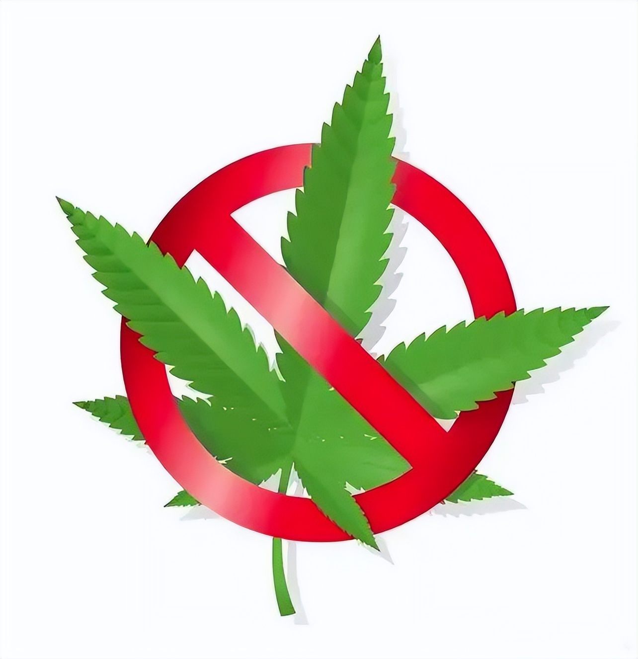 儿童刺绣亮片t恤,12个有毒童装品牌