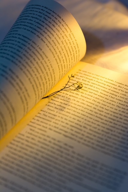 8个习惯让你头发悄悄变白,8个习惯让你成为高效能人士