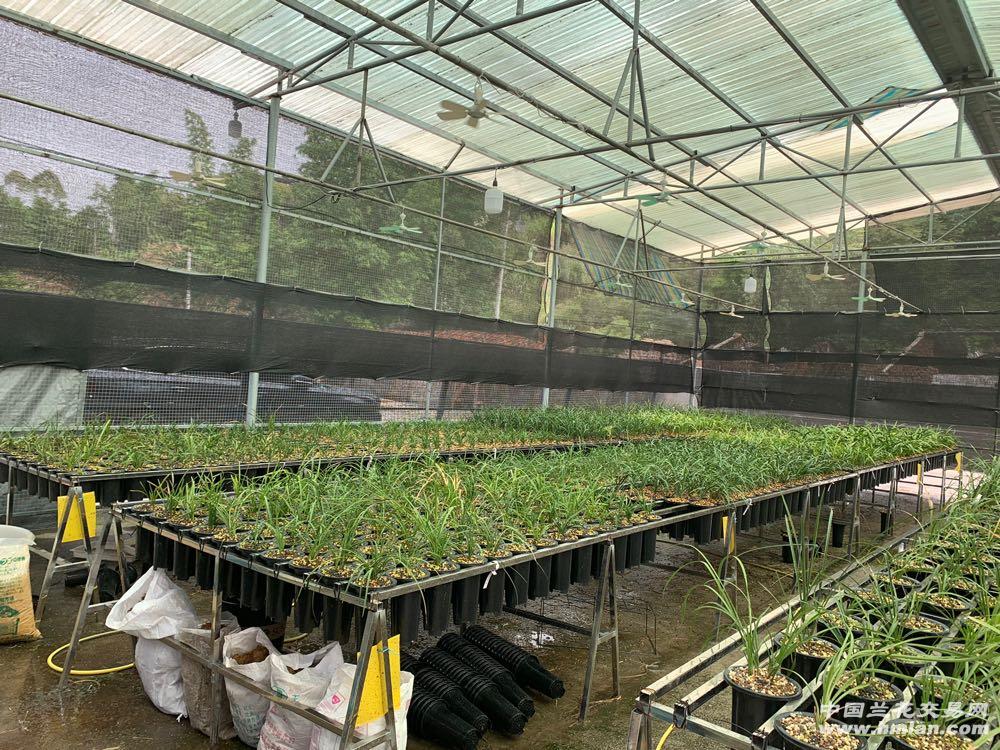 80鍚庡皬浼欏吇鍏扮殑骞冲焊鐢熸椿,90鍚庡吇鍏颁汉鎴愬姛妗堜緥