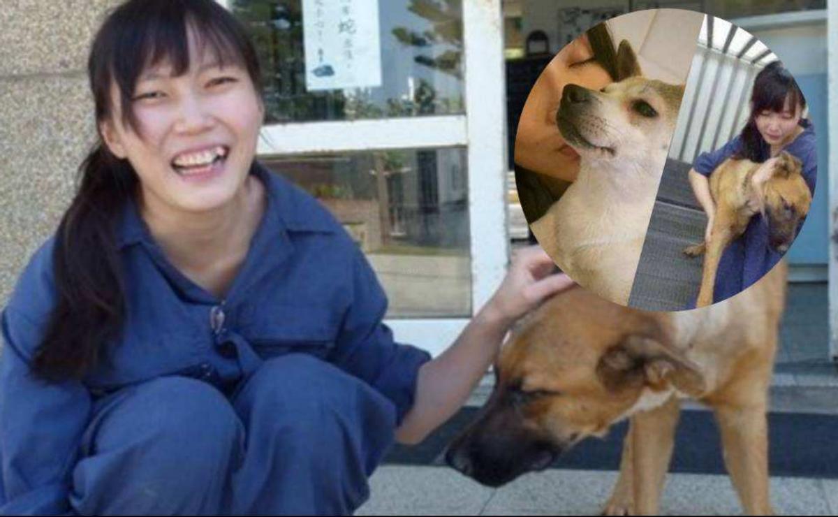 女孩给流浪狗安乐死,台湾女子给狗狗安乐死