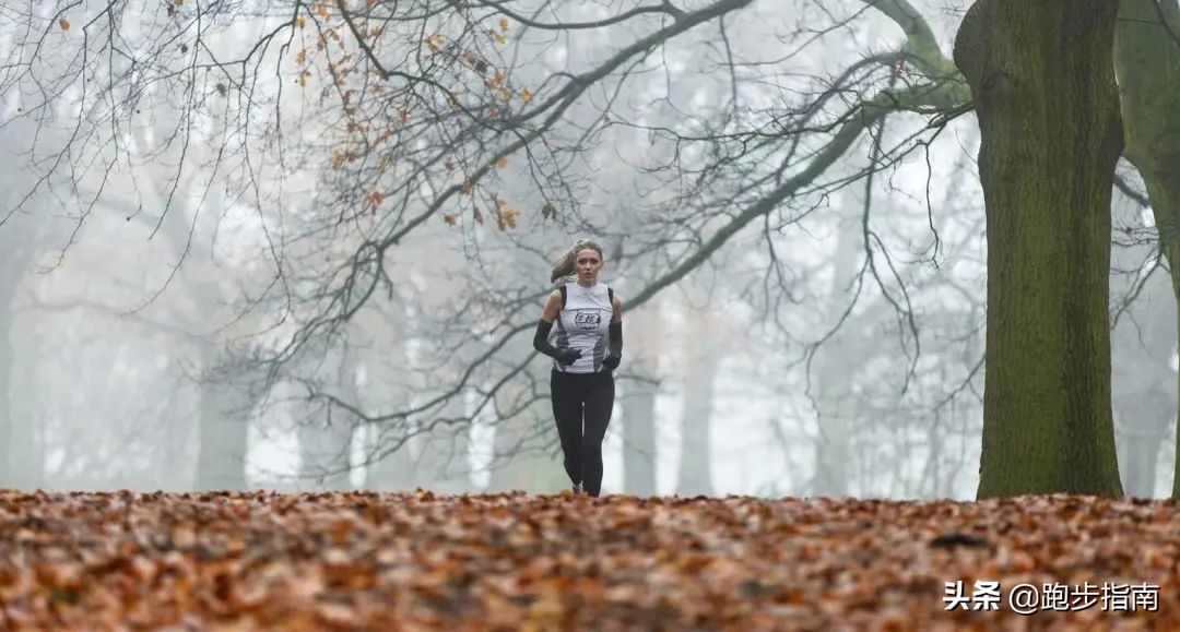 午跑和夜跑什么时候跑步最好,晨跑午跑夜跑哪个更好