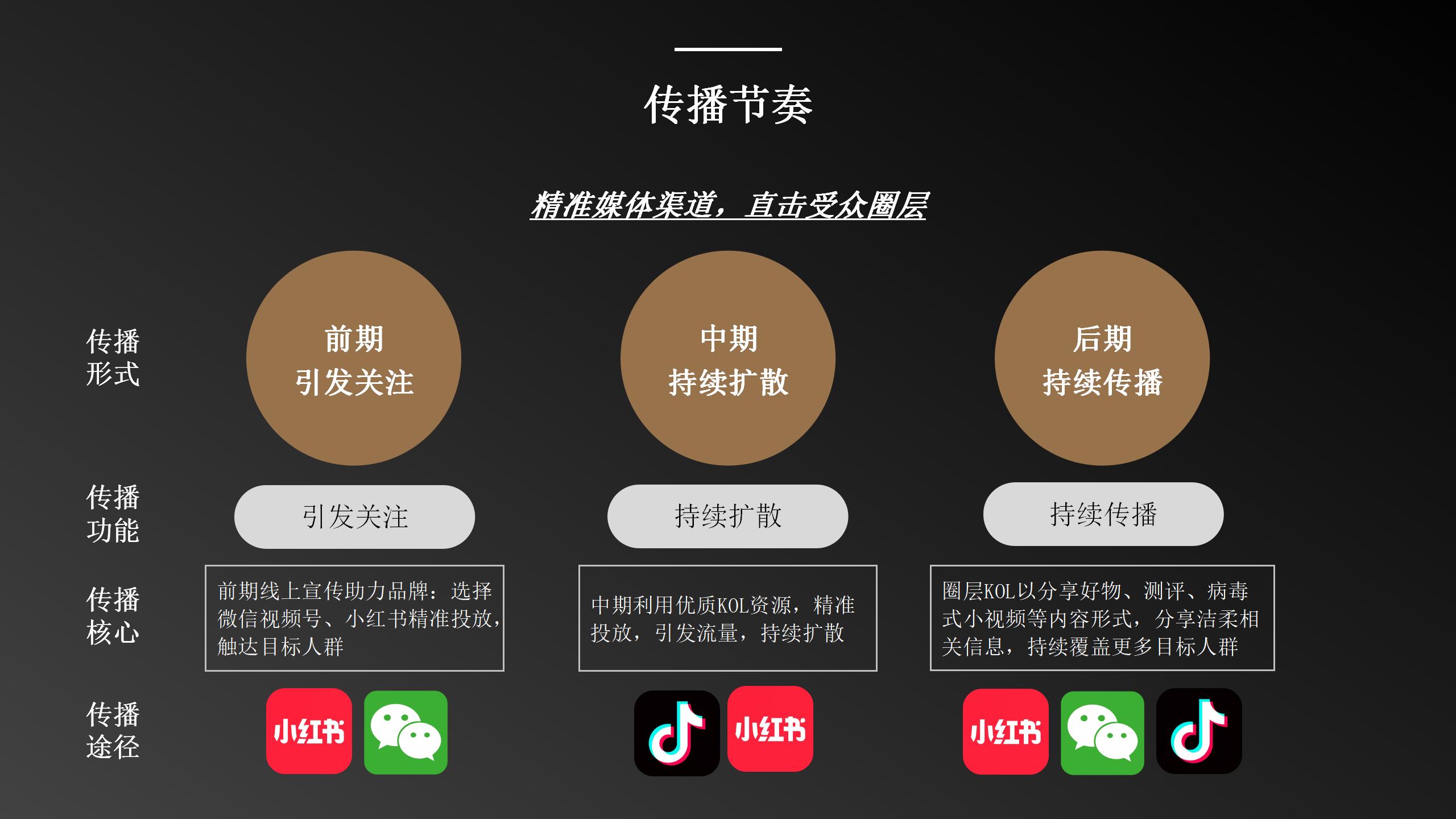 洁柔的营销技巧,洁柔产品策略