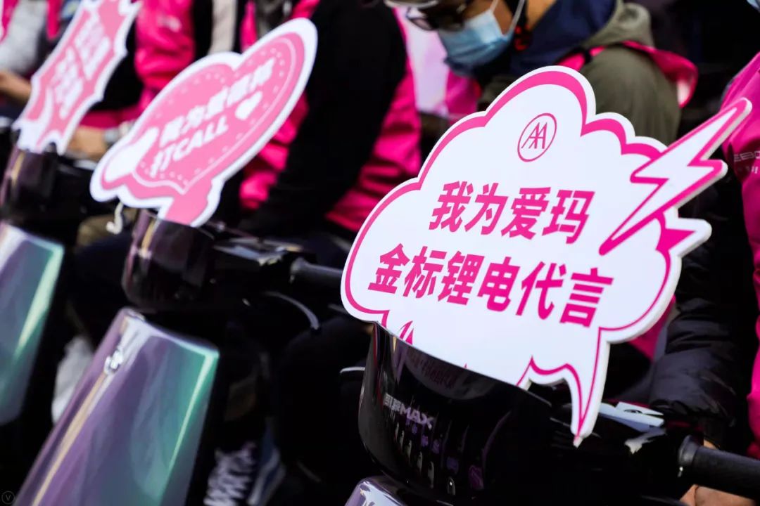 新国标爱玛改款,爱玛高端新国标