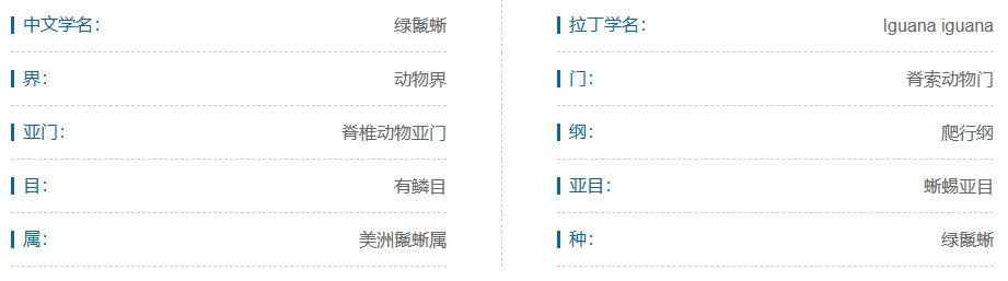 什么宠物对纯素食者最好,好养且可以食用的宠物有哪些