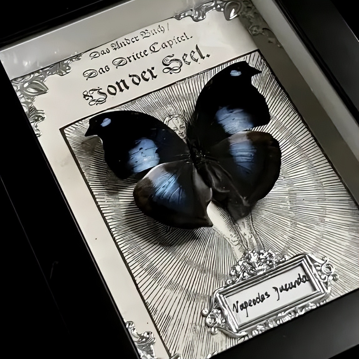 小众成熟霸气背景图,平常小众女生背景图