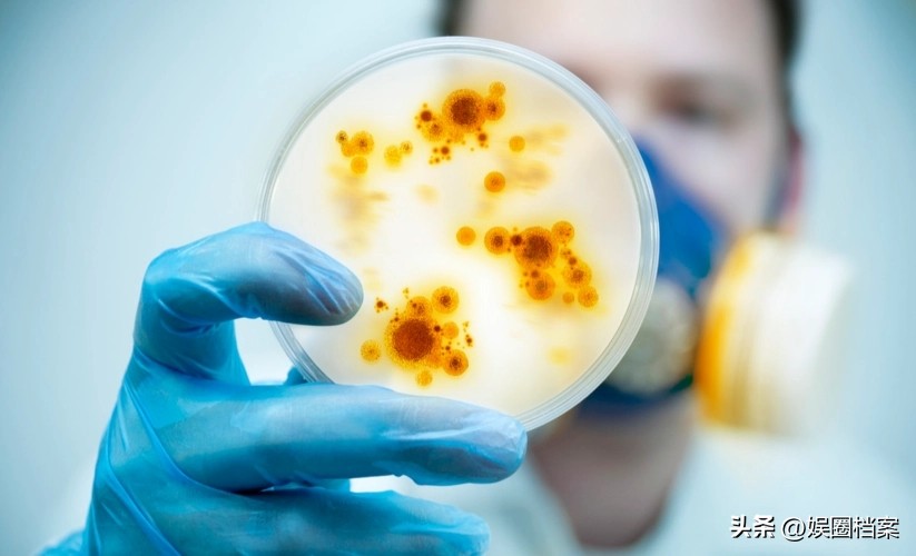 探究东部黑犀牛，激素代谢物和卵巢周期阶段肠道中微生物群的反应