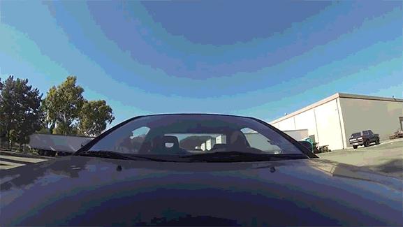 80张神奇偶然瞬间，环形闪电，海蛇和最毒石斑鱼互咬，骑骆驼拍照