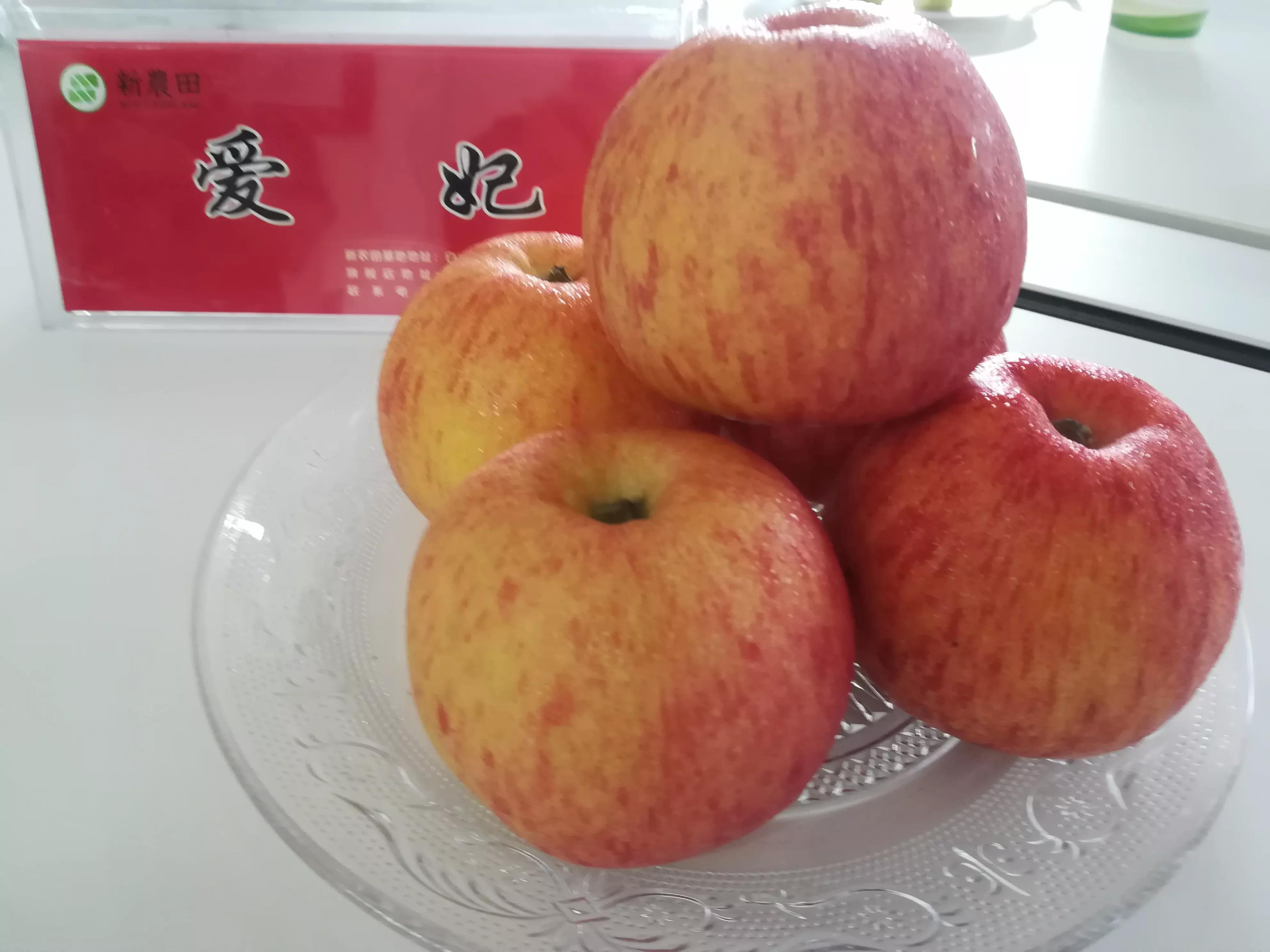 白水舌尖之美味