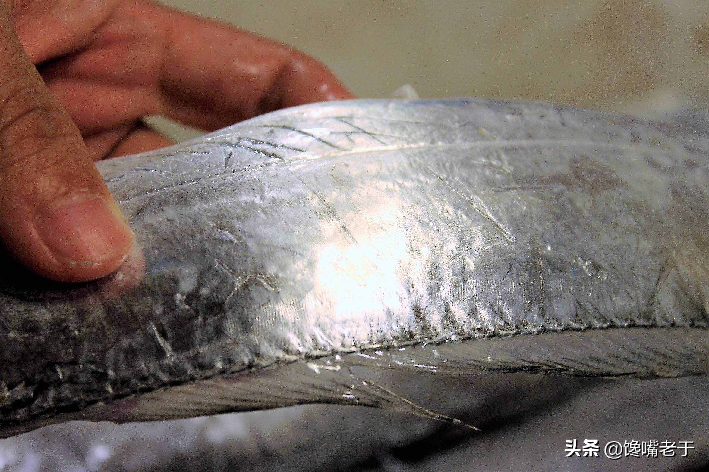 买带鱼注意这几个地方,买带鱼眼珠黑好还是白好