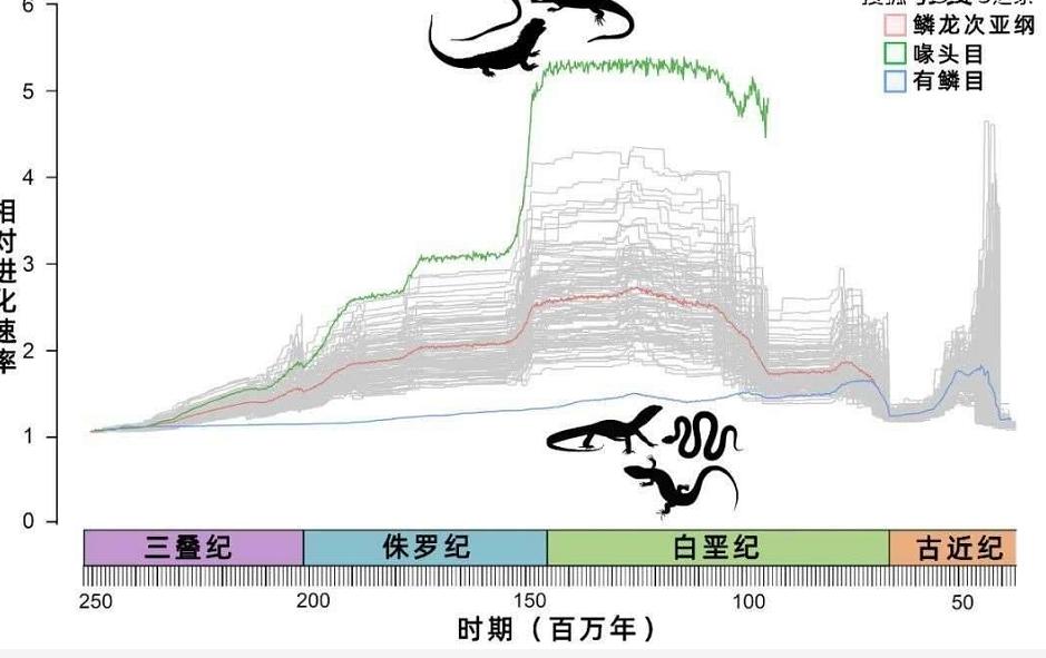 泰坦蟒是不是泰坦巨蛇,纪录片巨蛇之谜泰坦蟒