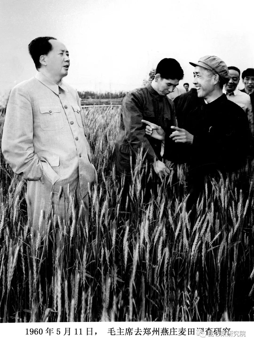 毛*东泽**讥讽：你瞎指挥，我就乱报