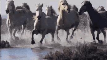 卡塔尔世界杯中国男足什么感受,卡塔尔世界杯给中国足球的启示