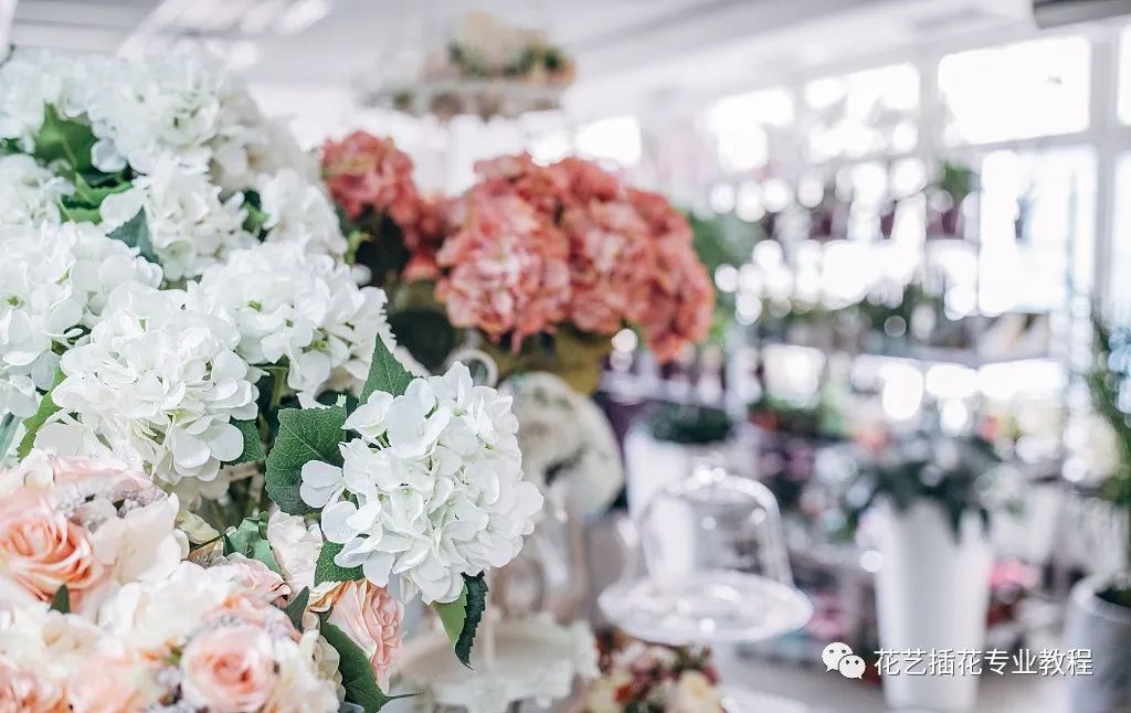 开一家鲜花店经营技巧,开一家鲜花店要注意哪些