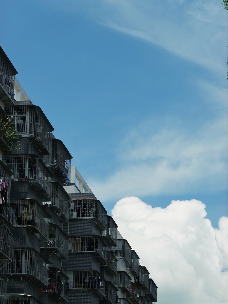 深圳市蛇口攻略,深圳海岛蛇口