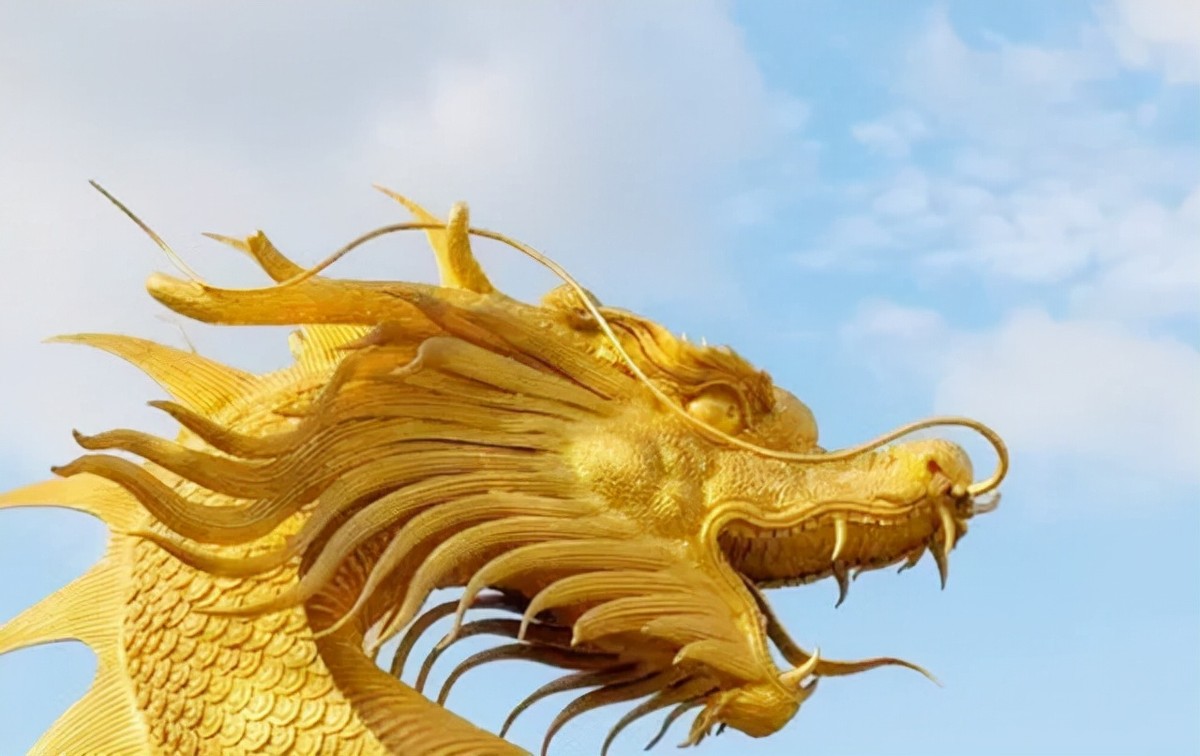 大山寻龙的道长后来怎样了,寻龙40岁道长现状