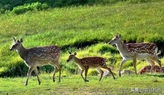 包头有什么好玩的地方或景点,包头有什么好玩的地方