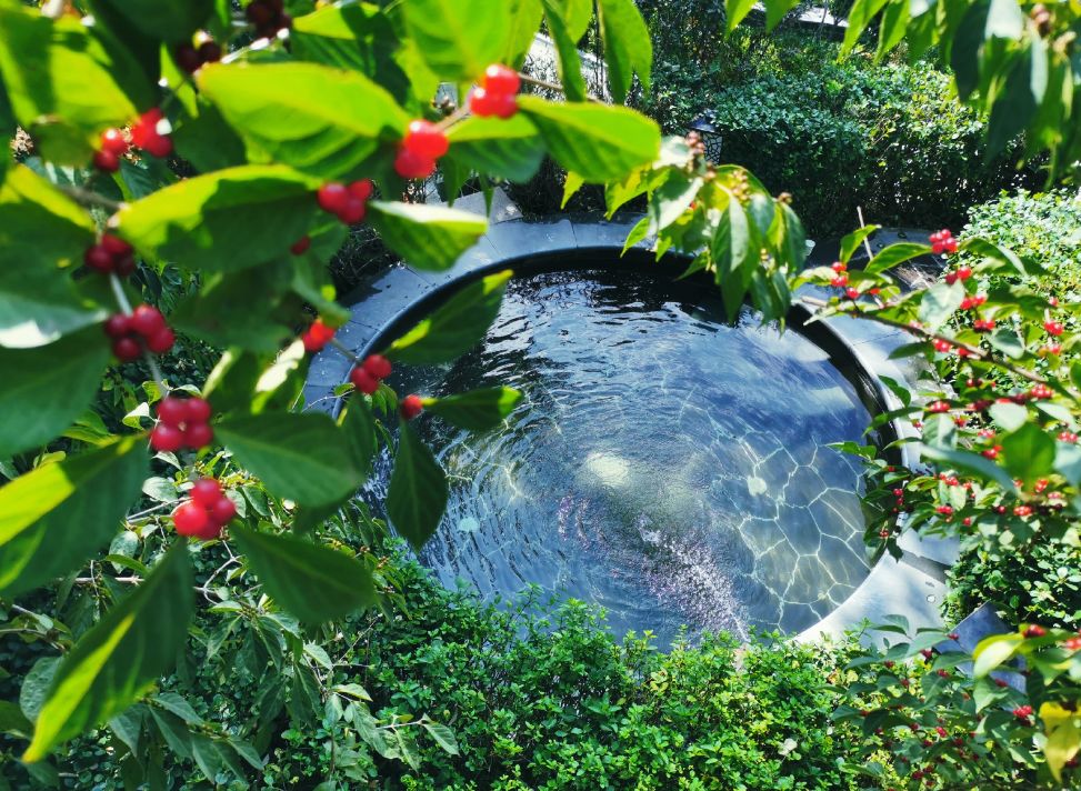 遵化市紫色阳光温泉,河北省遵化市御泉宫温泉