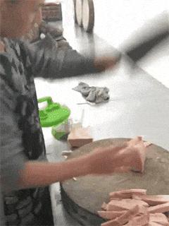 搞笑gif开心一刻这大概就是爱情吧,搞笑gif为了胜利我将不择手段