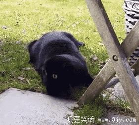 精选10条搞笑内涵段子，只有你笑了才是我创作的动力。