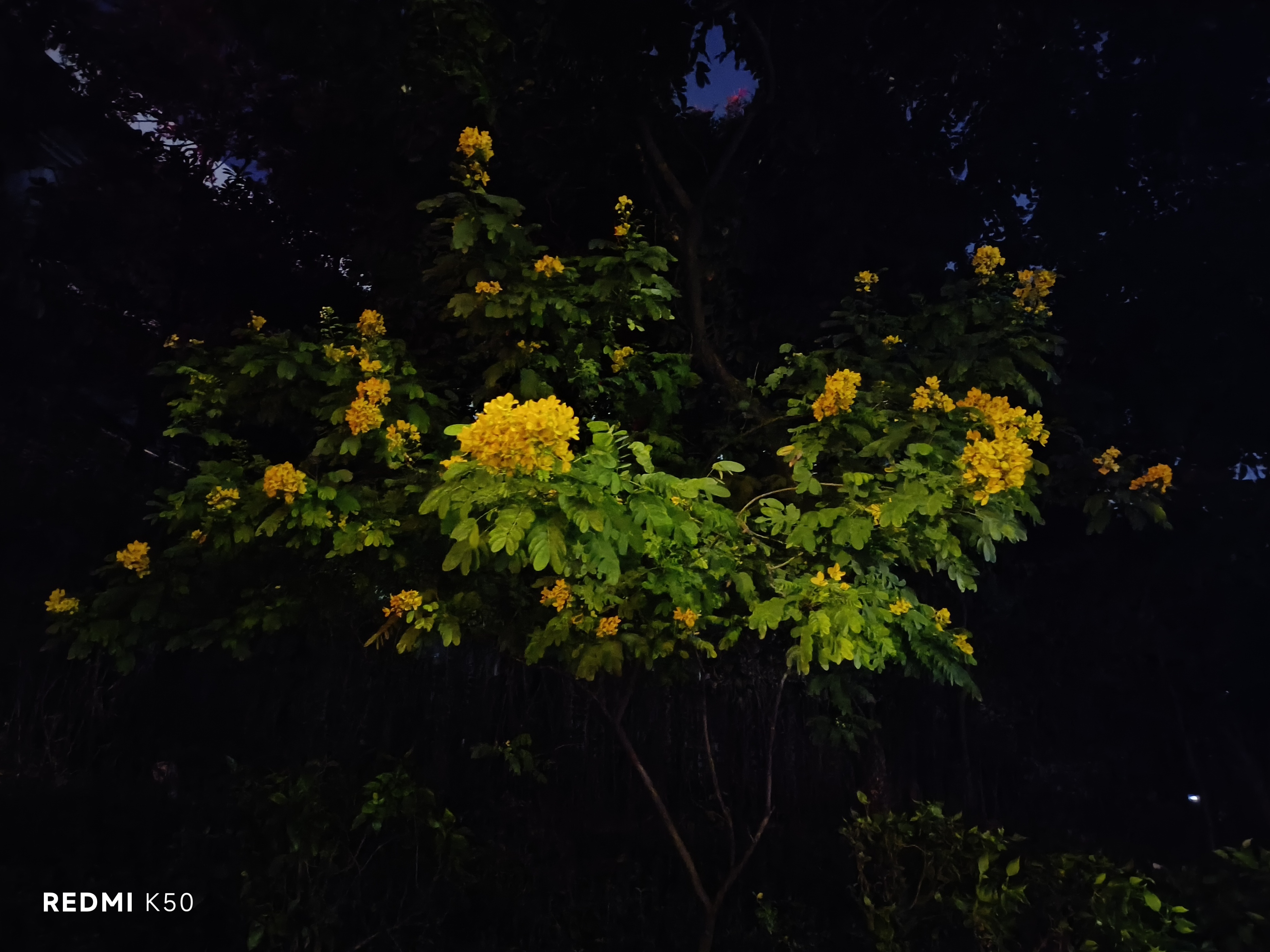 iqooneo7se和红米k50比较,iqooneo7se和红米k50标准版哪个好