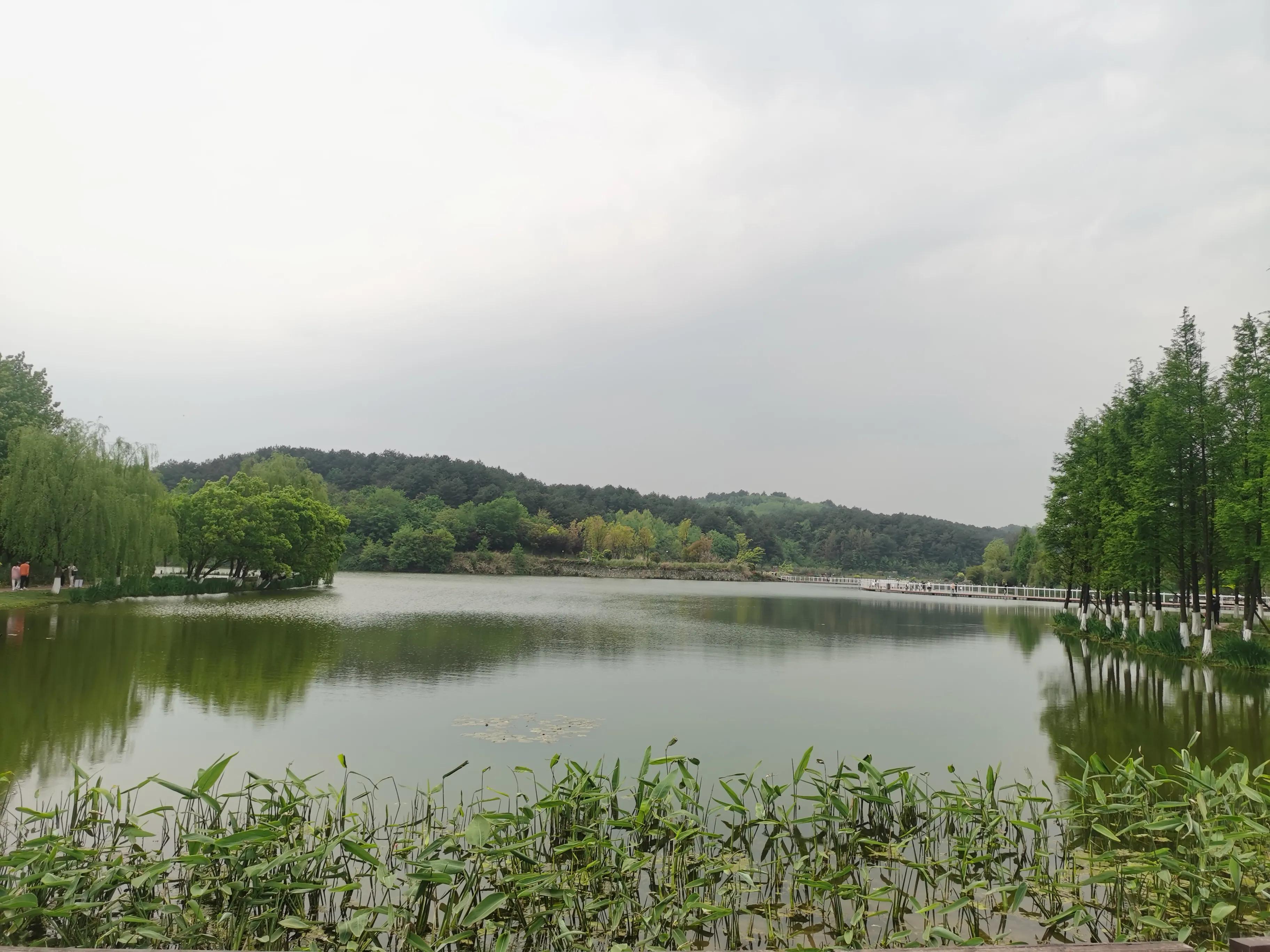 鸡蛋母鸡搞笑段子,母鸡经典语录100句