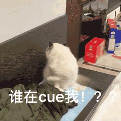 泰国需要注意的法规和禁忌,泰国再次调整入境政策了吗