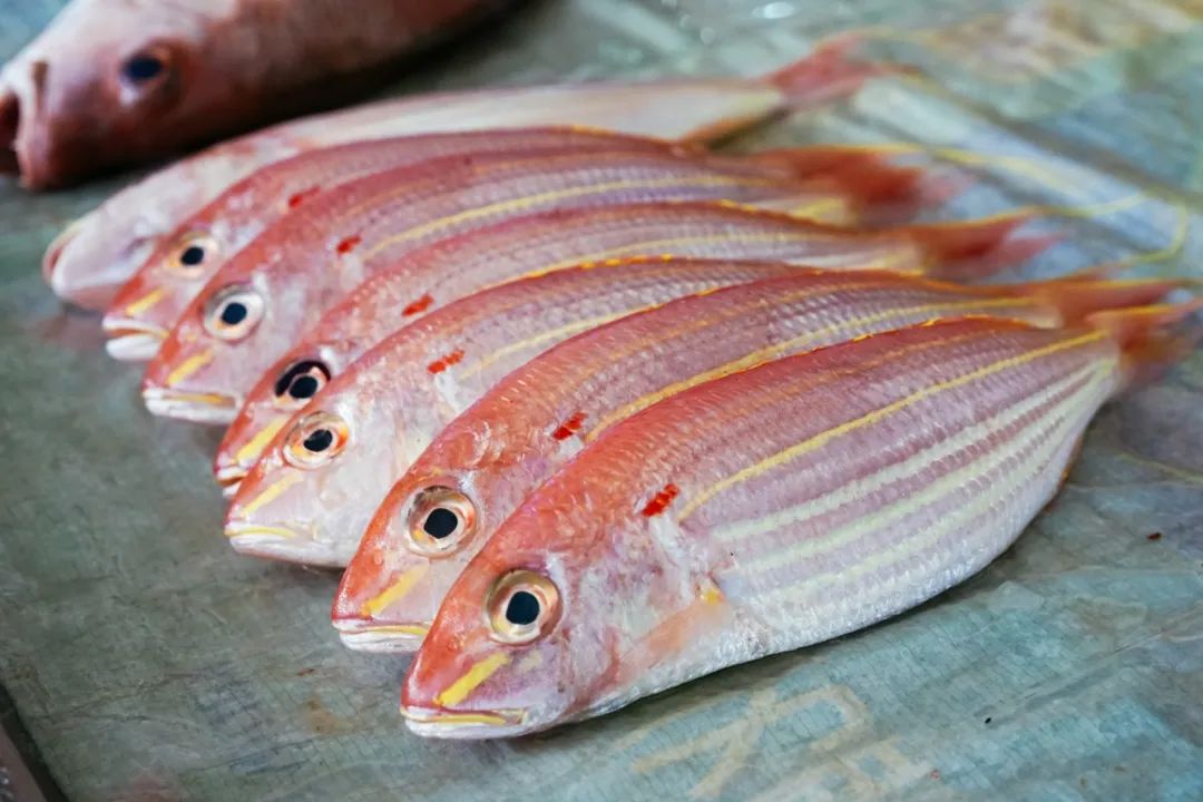 早餐烤乳猪，海鲜论盆卖？这座海岛小城舒坦得有点离谱了