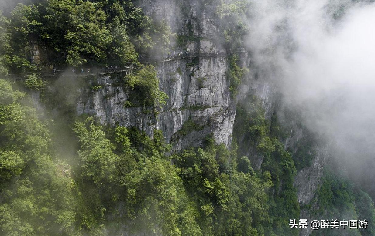 天门山国家森林公园攻略,天门山国家森林公园游览全过程