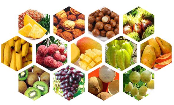 3-6岁词汇学习,儿童词语大全1-3岁