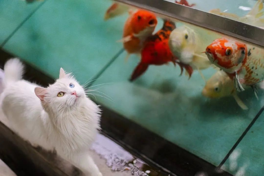 赵明明：上班摸鱼，是我的梦想!