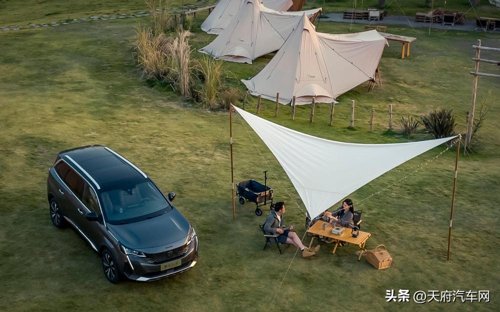 椰子壳活性炭可以食用吗,椰子壳炭可食用