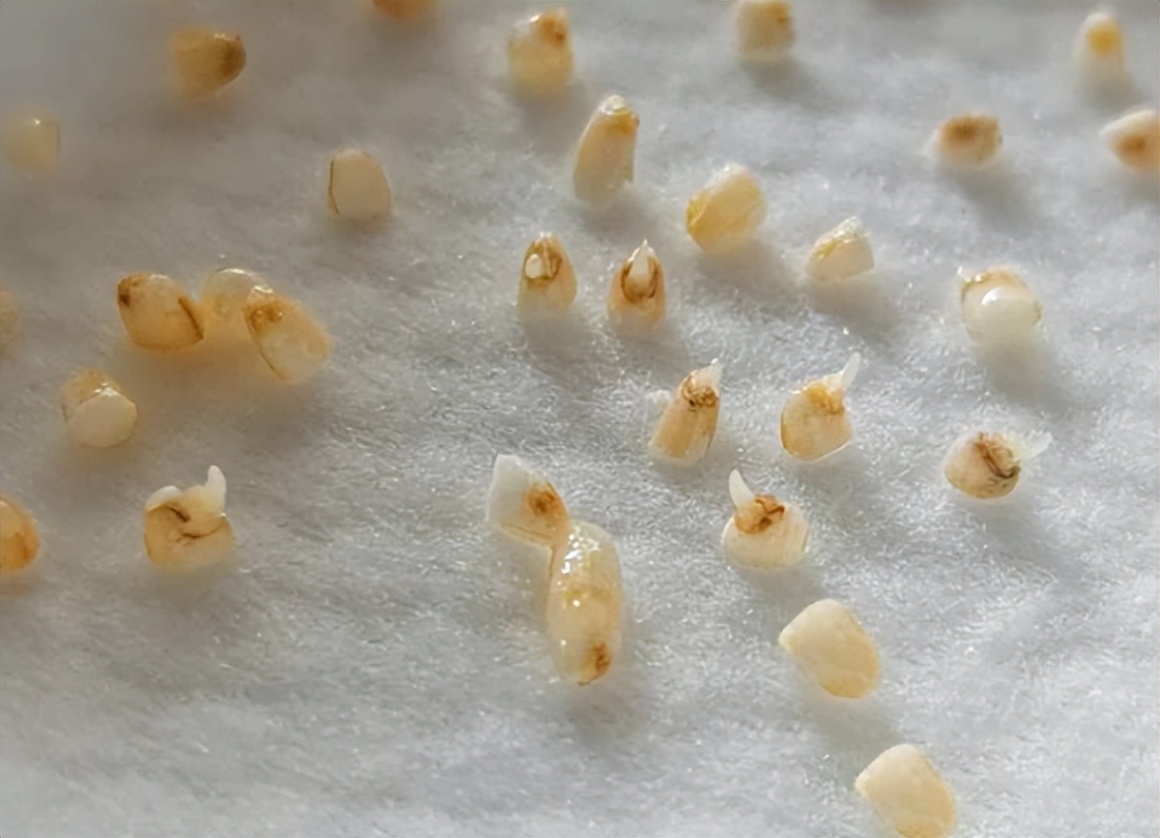 现在赚钱的创业项目,现在创业有什么好项目