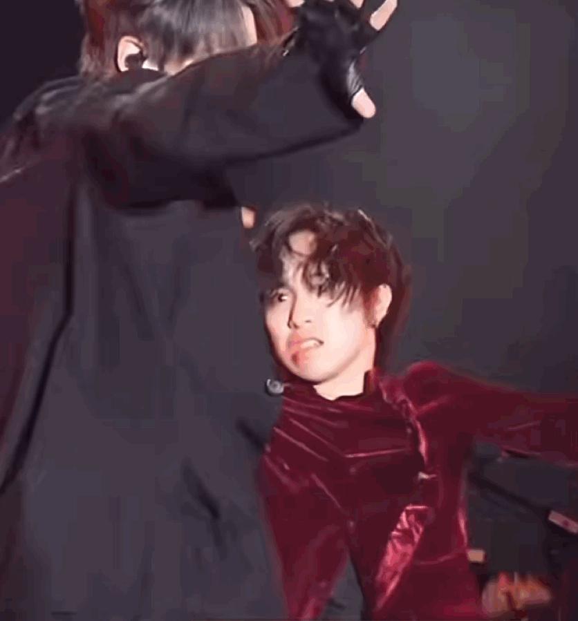 港娱审美降级,港娱颜值天花板