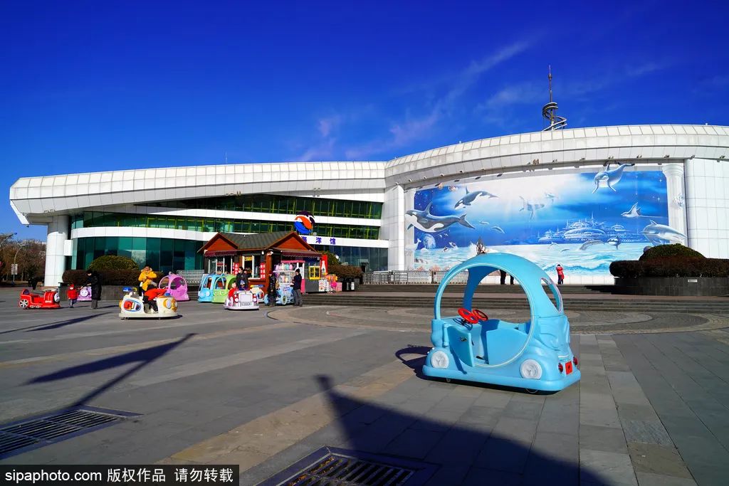 畅游海底世界活动,北京半日游海底世界