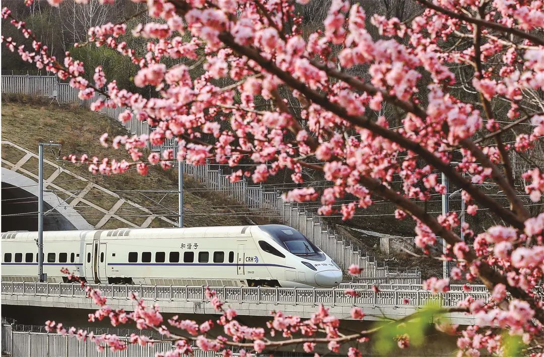 坐上火车领略东北田园,坐上高铁奔向远方