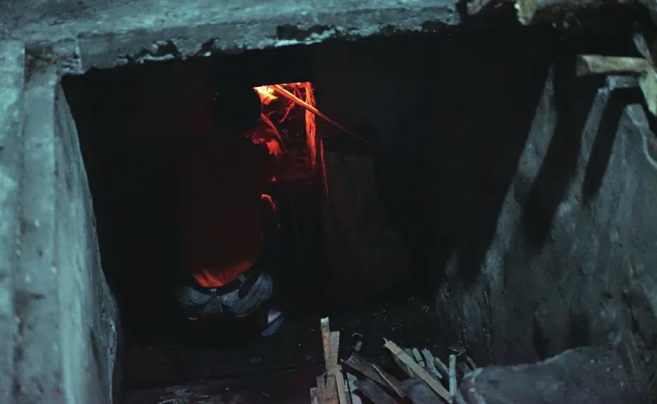 红茶金骏眉推荐,红茶金骏眉