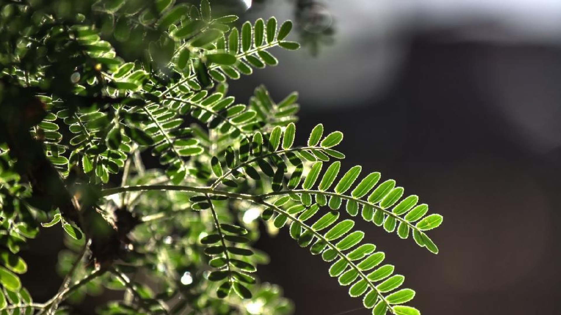 汉字的五行标准字典,五行属金的汉字大全