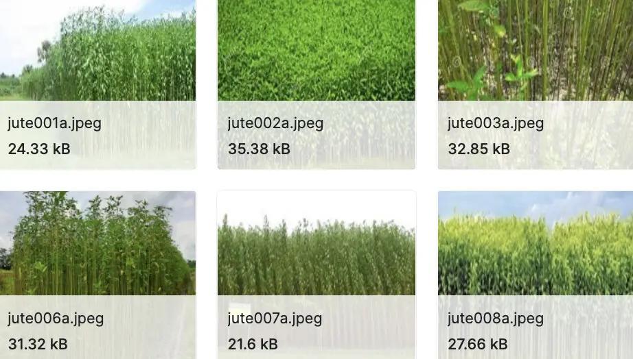 100+深度学习开源数据集分类汇总