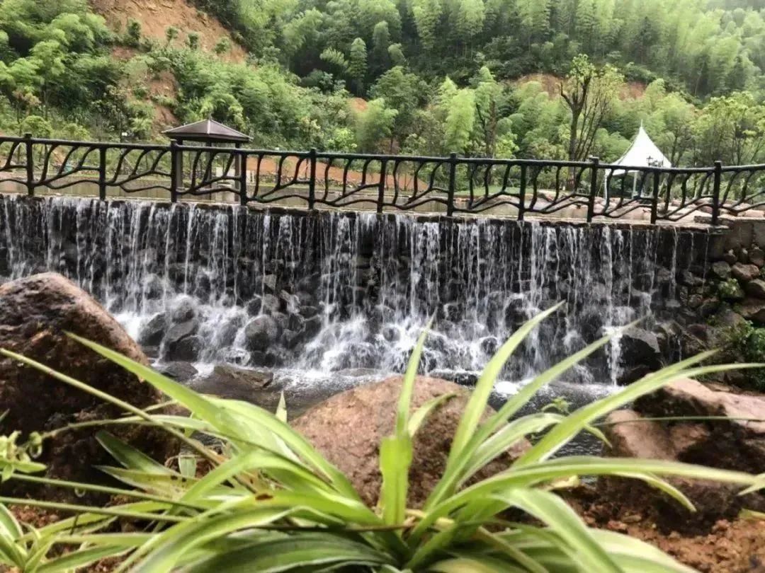 【上饶天下SHOW之广信区】中华蜜蜂谷:藏在五府山竹海密林中的蜜蜂“乐园”