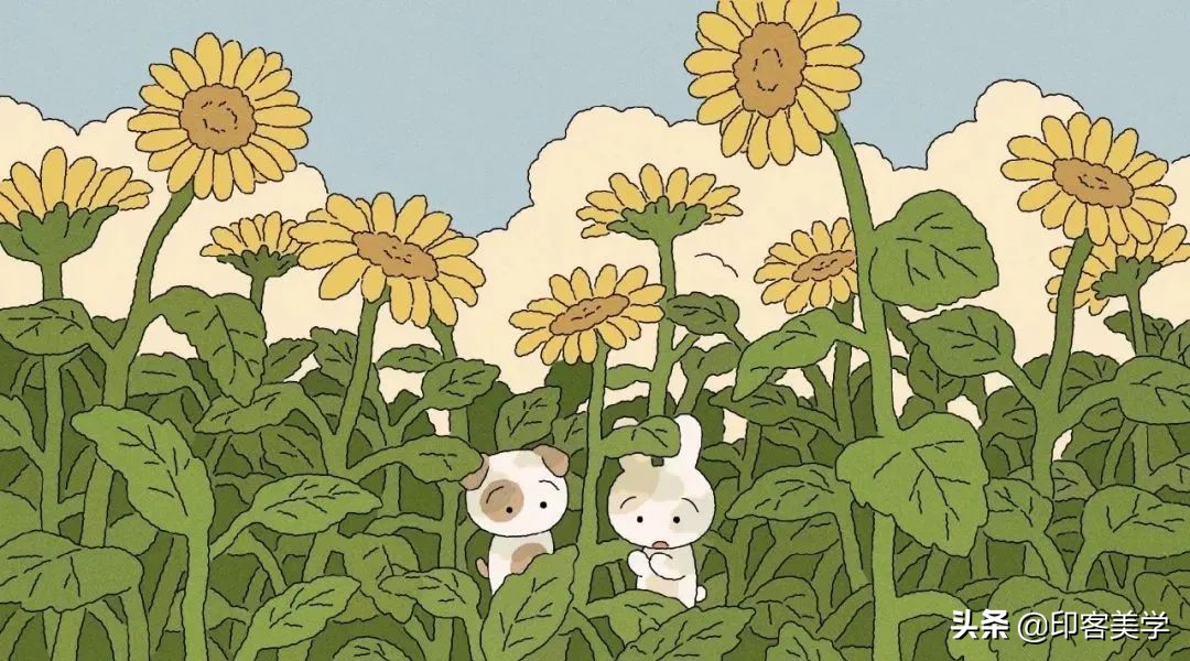 小众插画头像,分享给大家一组我的原创插画头像