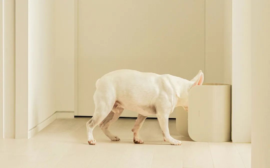 2022年iF设计奖：宠物用品类