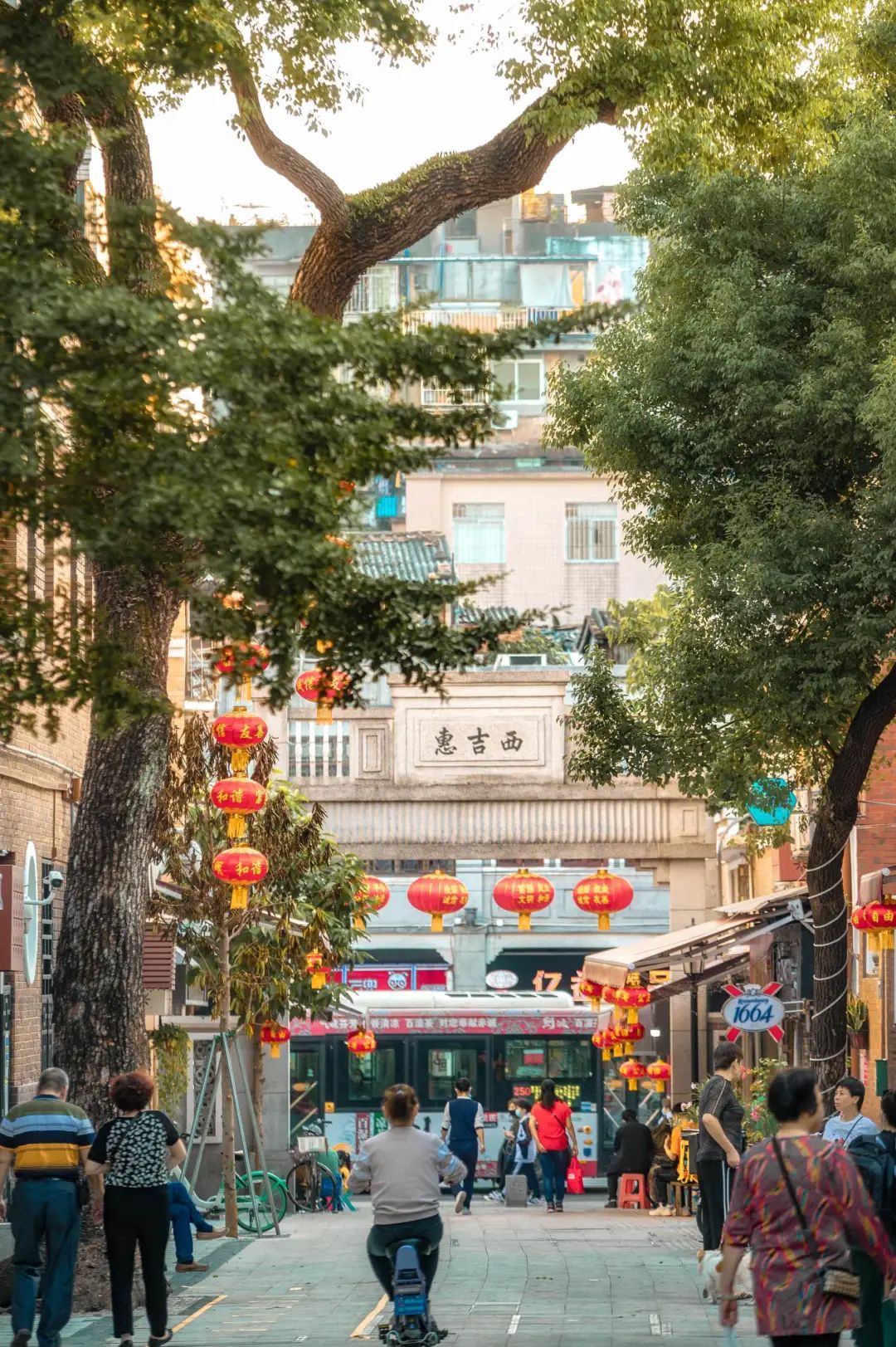 广州这条路，治好了我的审美疲劳