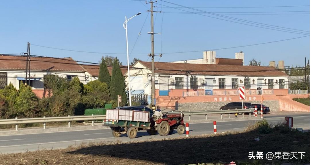 苹果现在怎么那么贵一斤,苹果15以后能卖多少钱